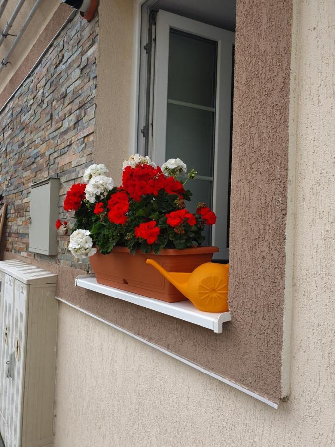 Zsizelle Rezidence Apartment Brasov Exterior photo